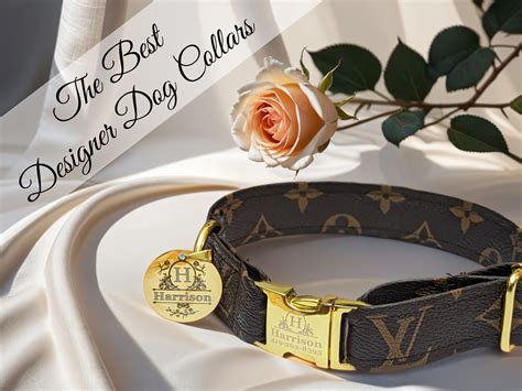 dior dog name|best luxury dog collars.